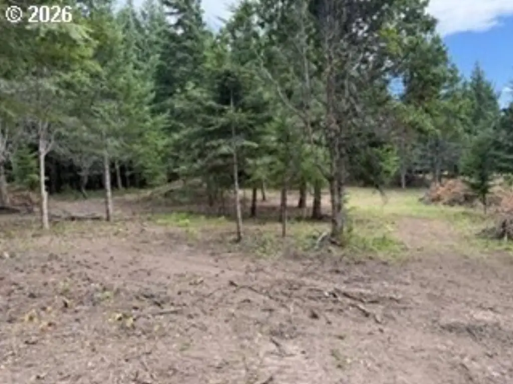 Picture 31