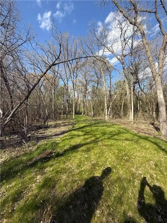 Picture 8