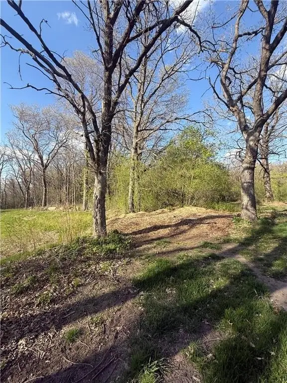 Picture 9