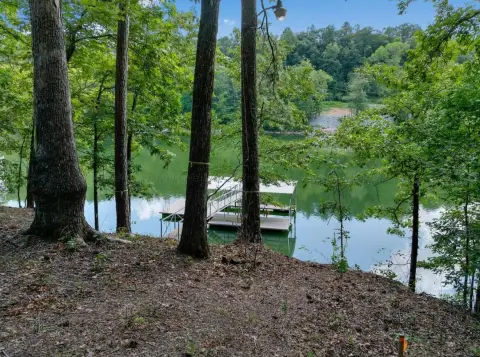 Waterfront Lot in Arley, AL