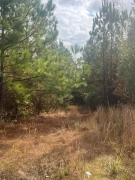 Fayette, AL Hunting Land