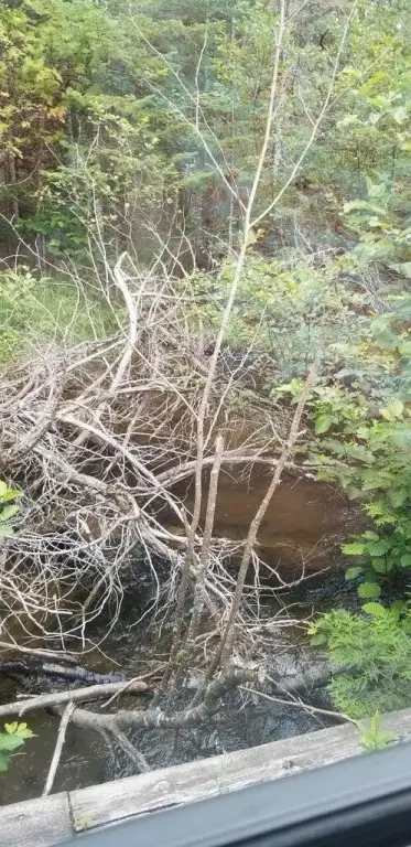 Picture 11