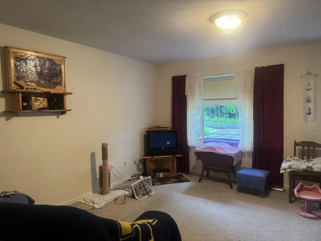 Picture 6