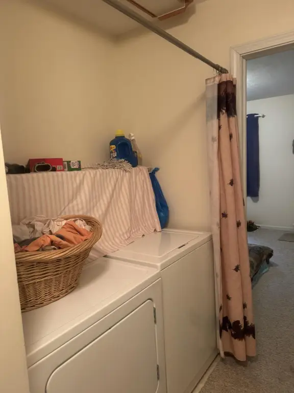 Picture 14