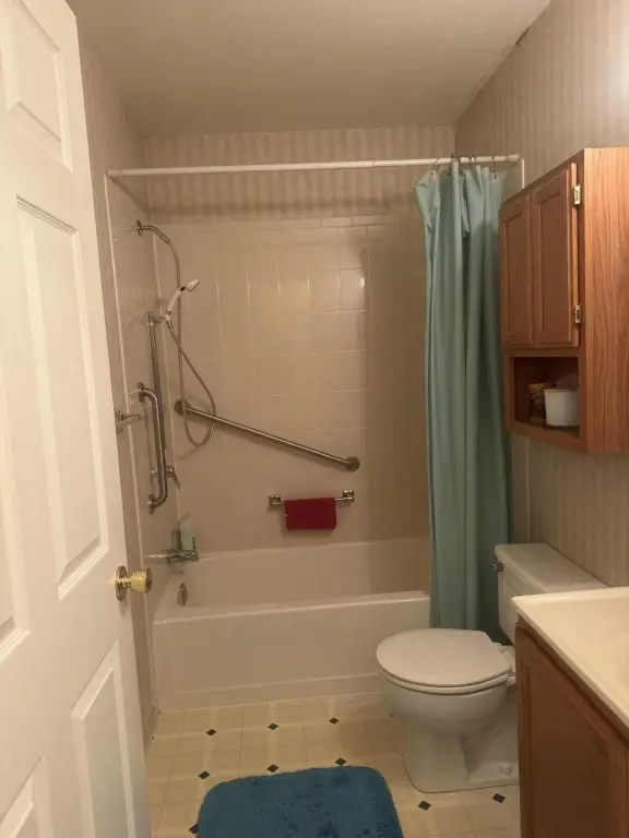 Picture 11