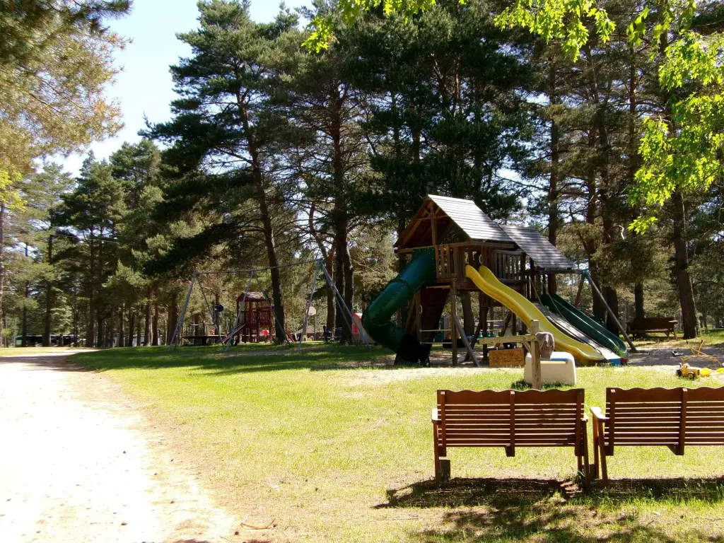 Picture 10