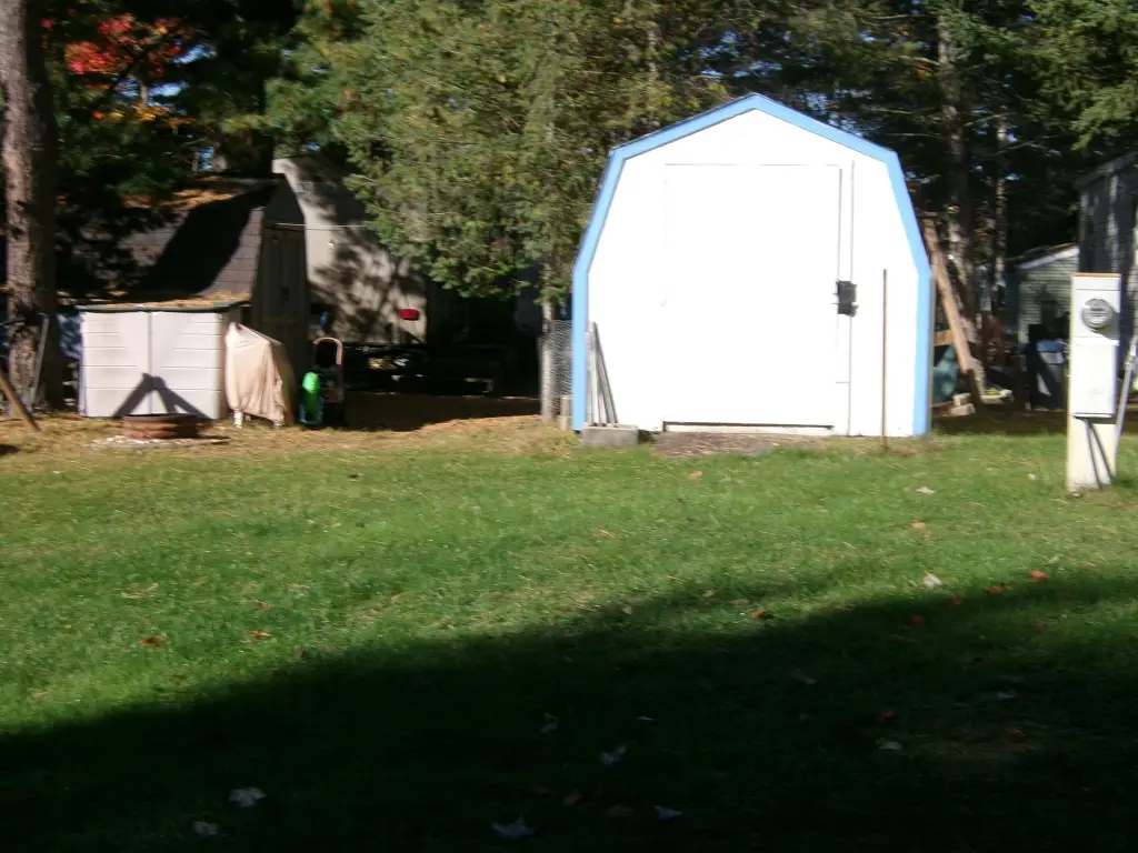 Picture 4