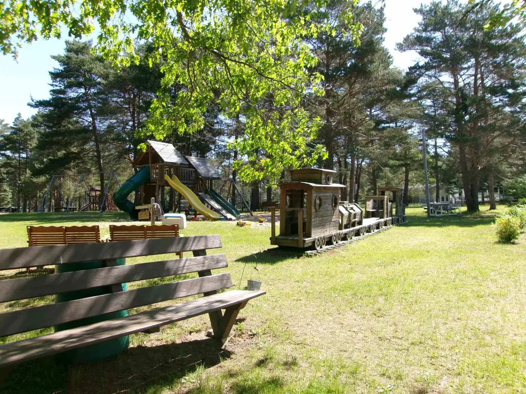 Picture 9