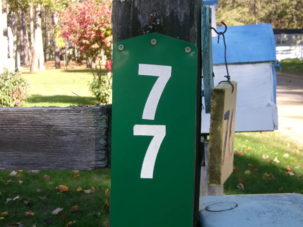 Picture 3