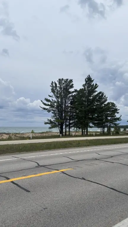 Picture 15