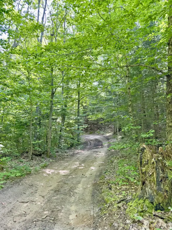 Picture 29