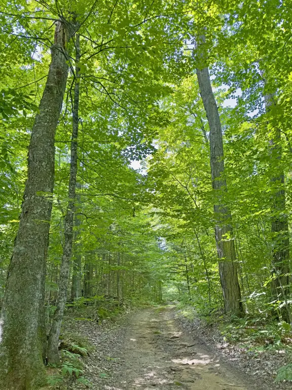 Picture 28