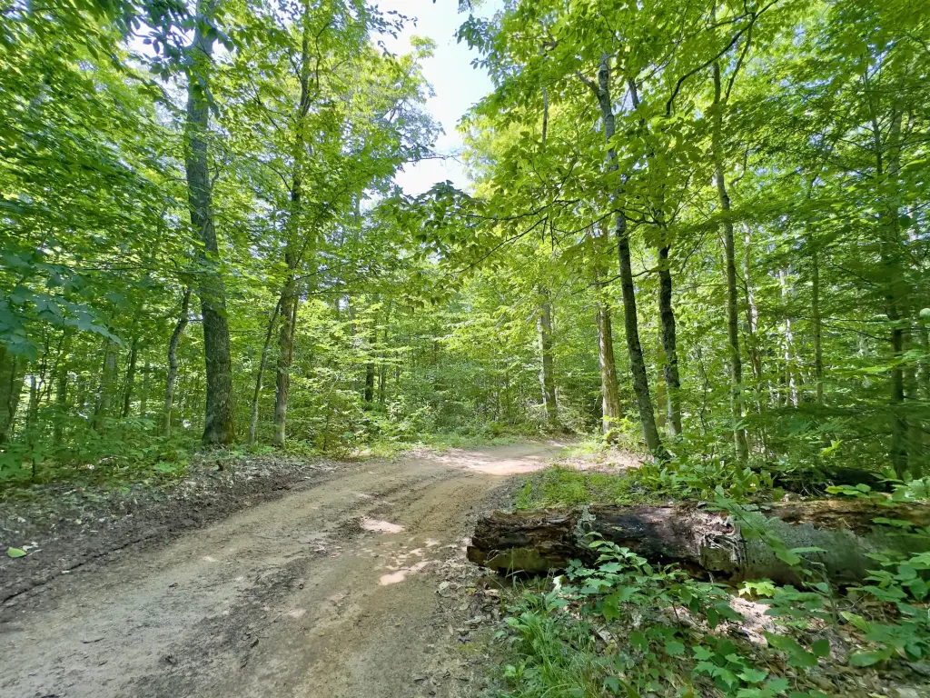 Picture 26