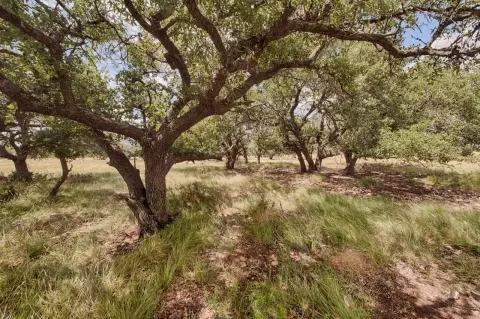 Harper, TX: 5.45 Acre Lot