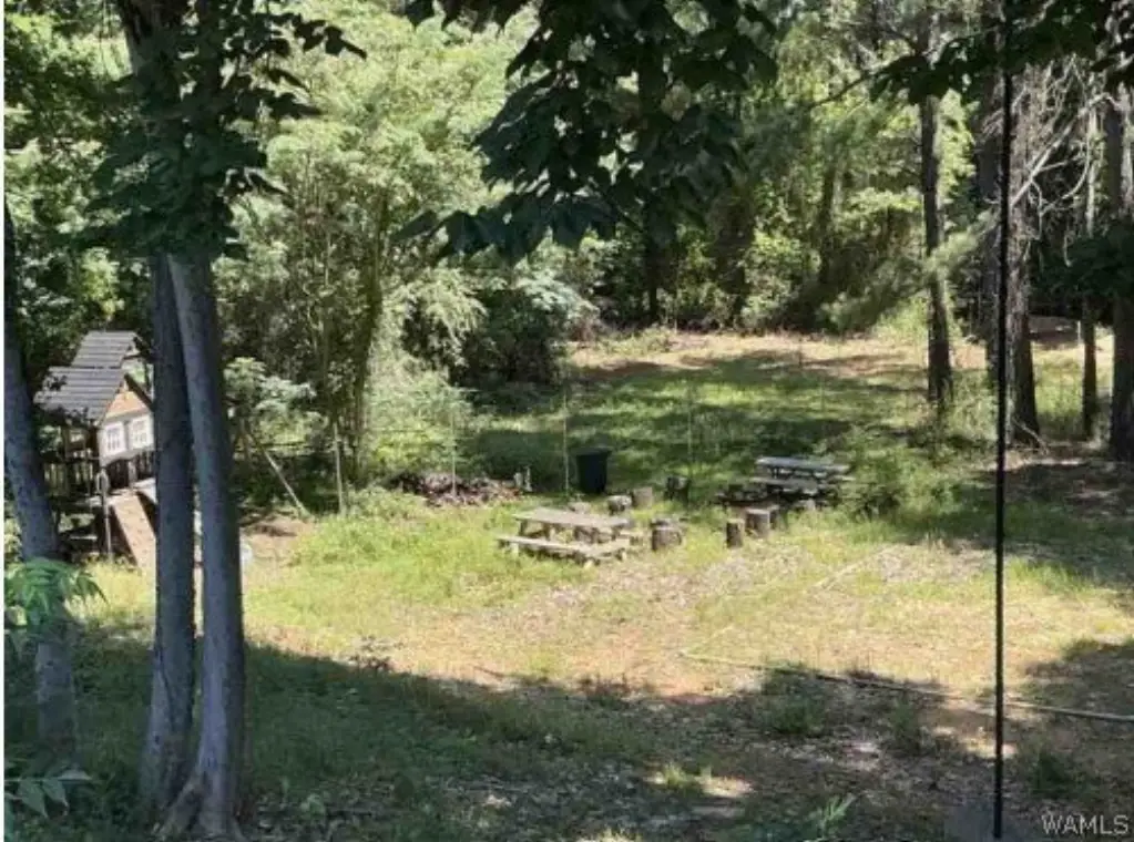 Picture 5