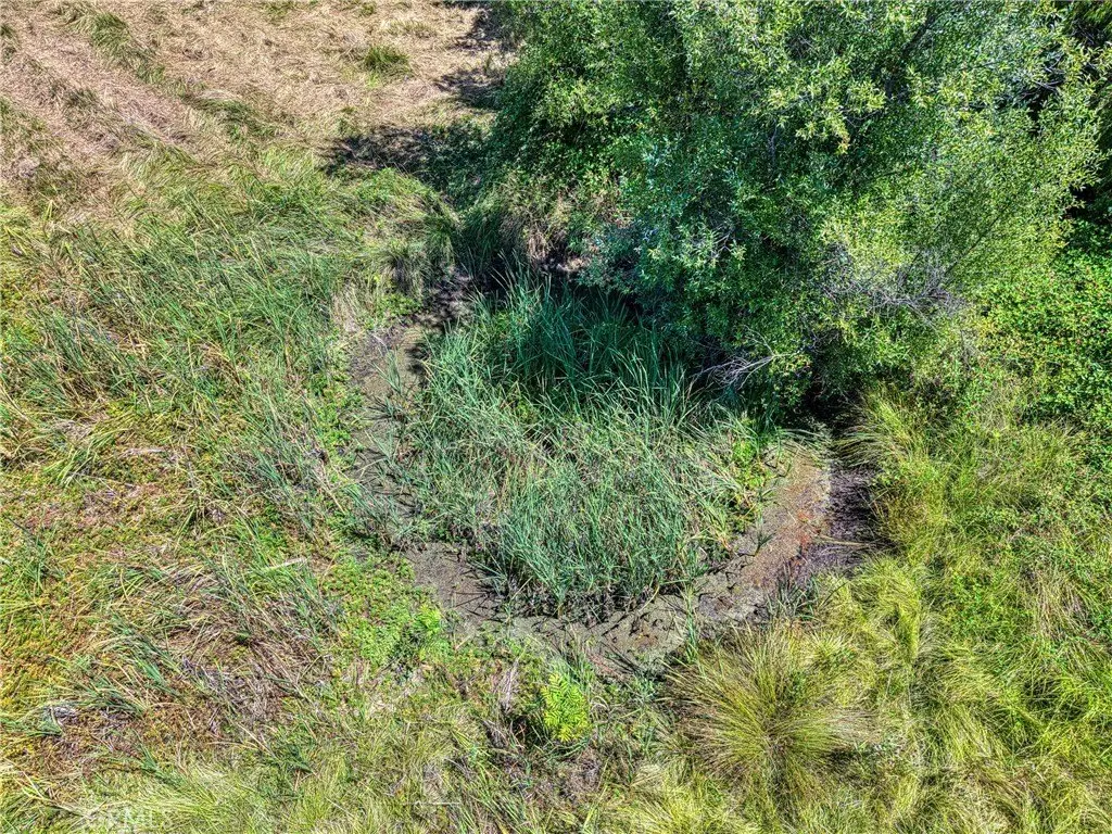 Picture 25
