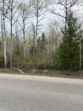 Land Near Mackinac Island Ferries