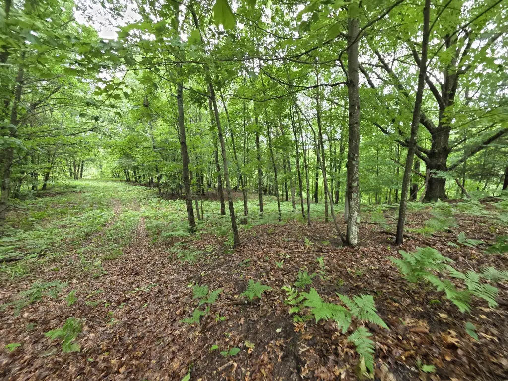 Picture 16