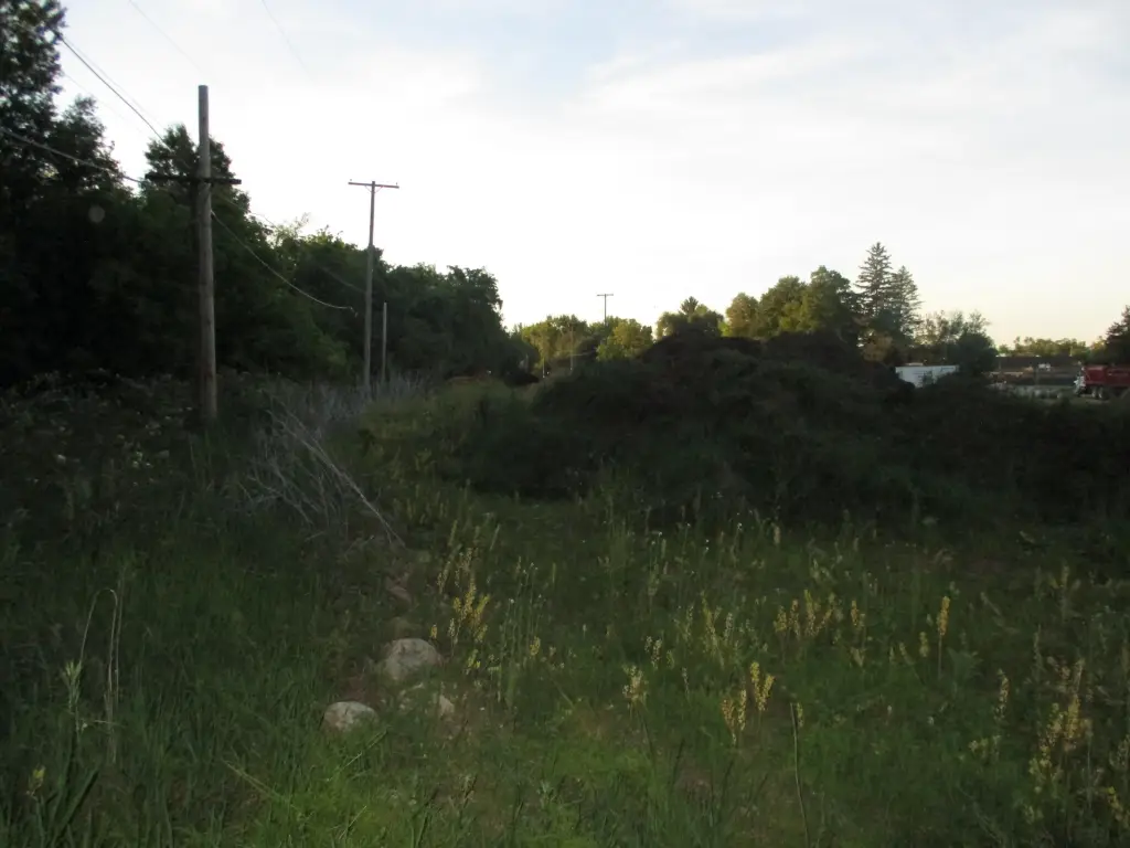 Picture 18