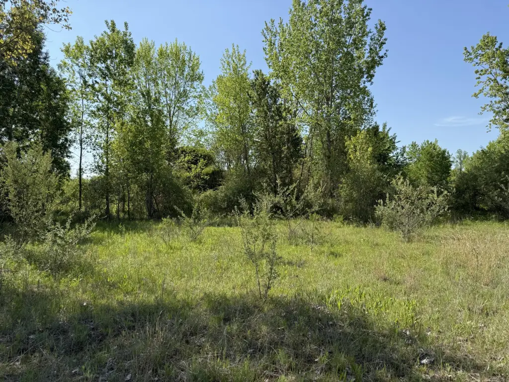 Picture 28