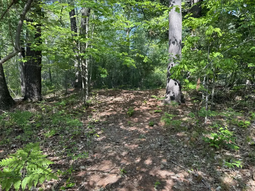 Picture 20
