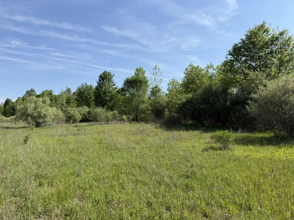 Picture 25