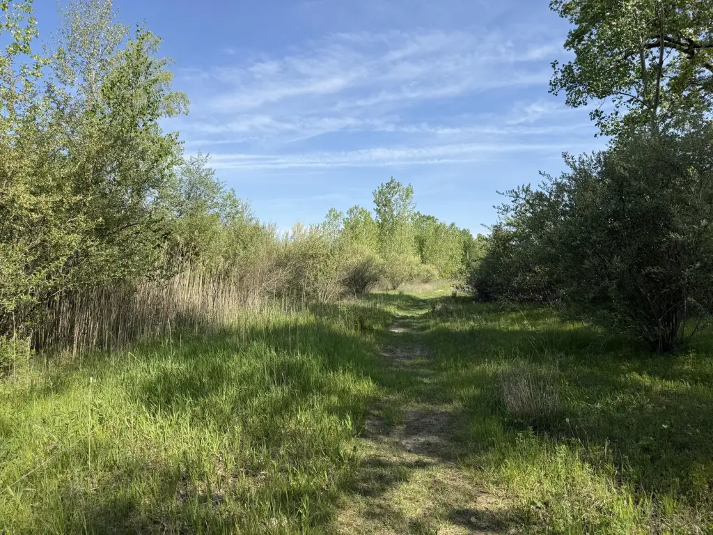 Picture 23