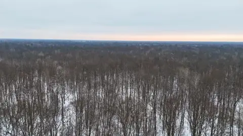 40-Acre Timber Tract for Recreation