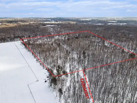 Wooded Land in Hesperia, MI