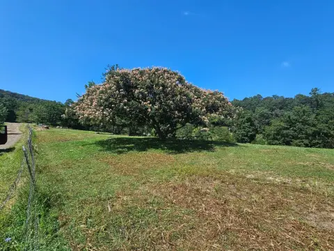 Unrestricted Farm and Mountain Land