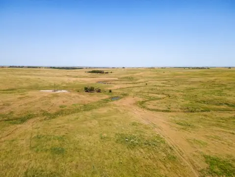 158.9 Acres of Grazing Land