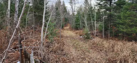 Hunting Land with Single-Wide