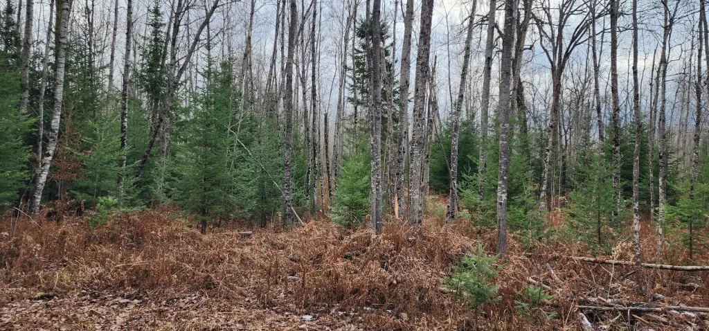Picture 18