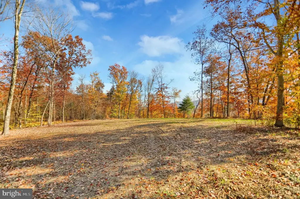 Picture 8