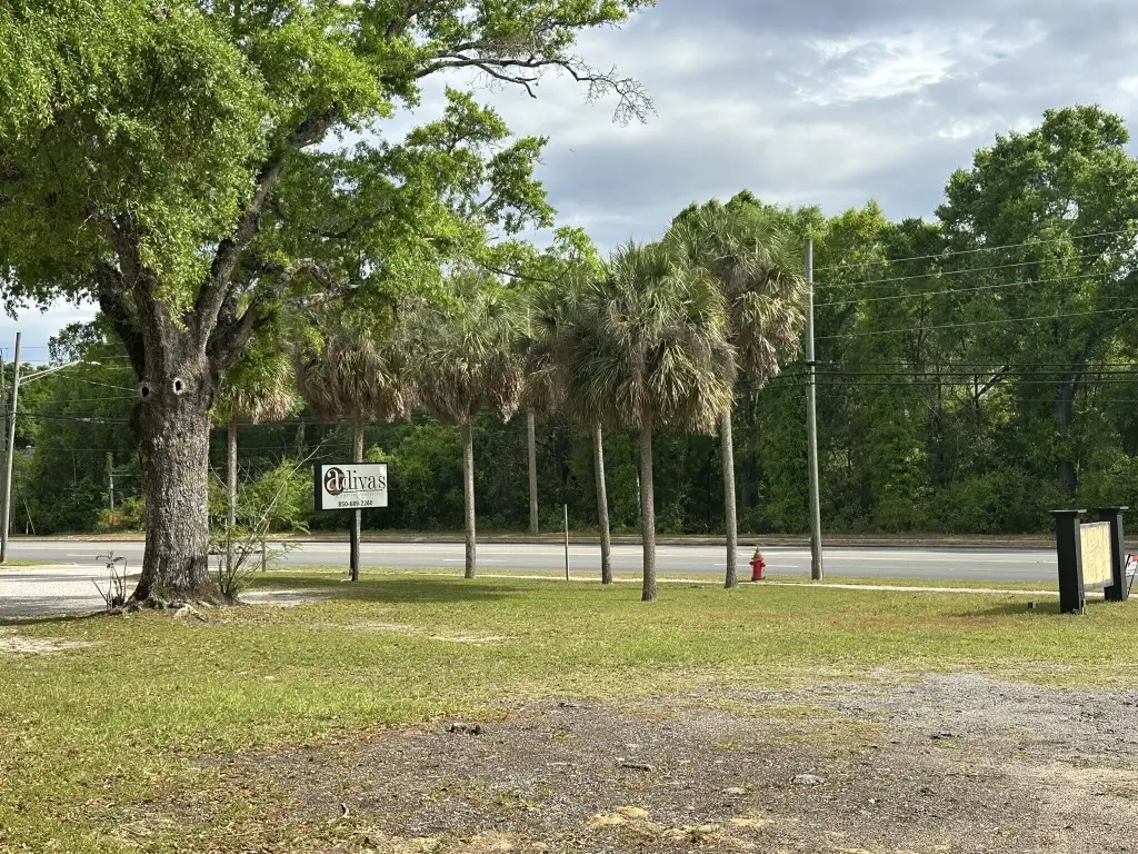 Picture 18
