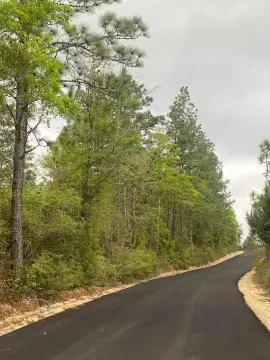 Wooded Agricultural Land