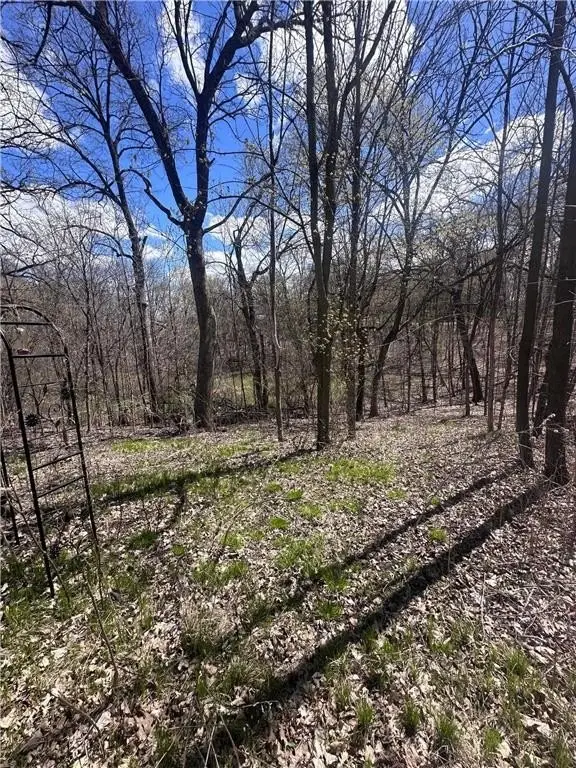 Picture 4
