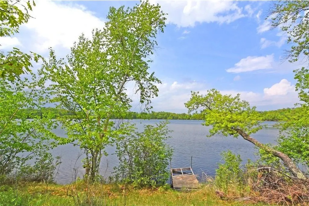 Picture 19