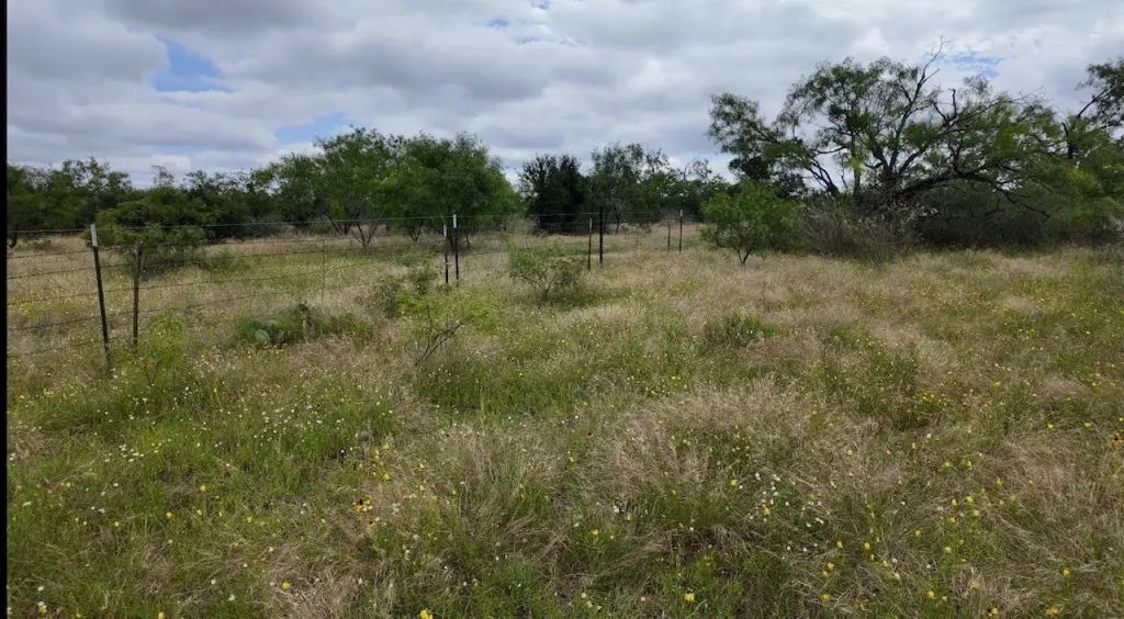 Picture 25