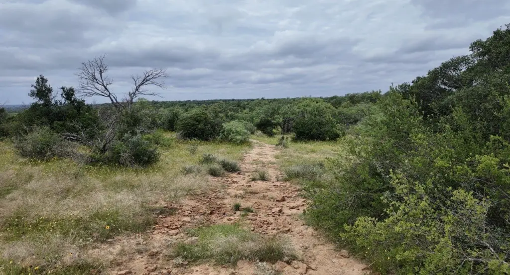 Picture 28
