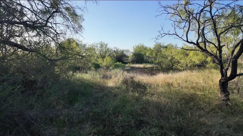 Picture 25