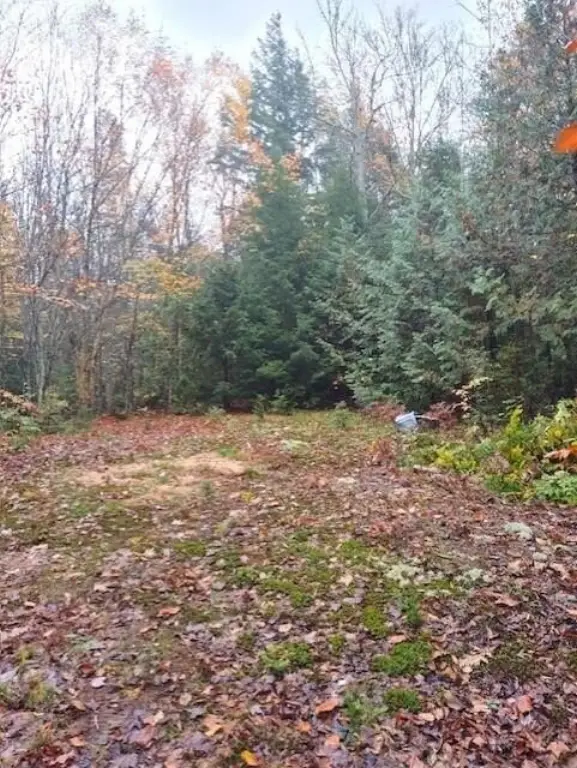 Picture 3