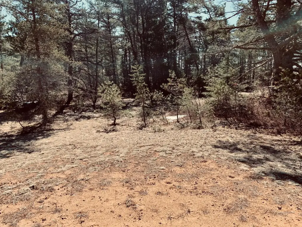 Picture 20
