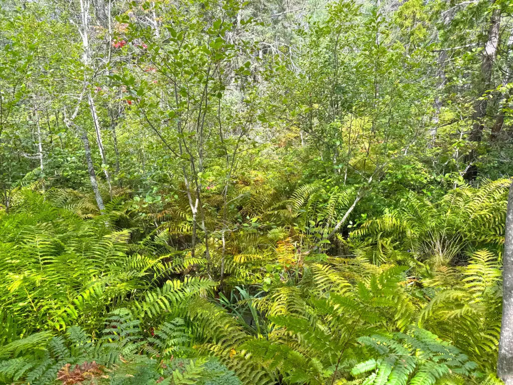 Picture 7