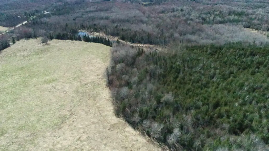 Picture 30