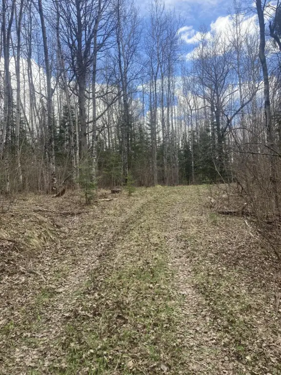 Picture 9