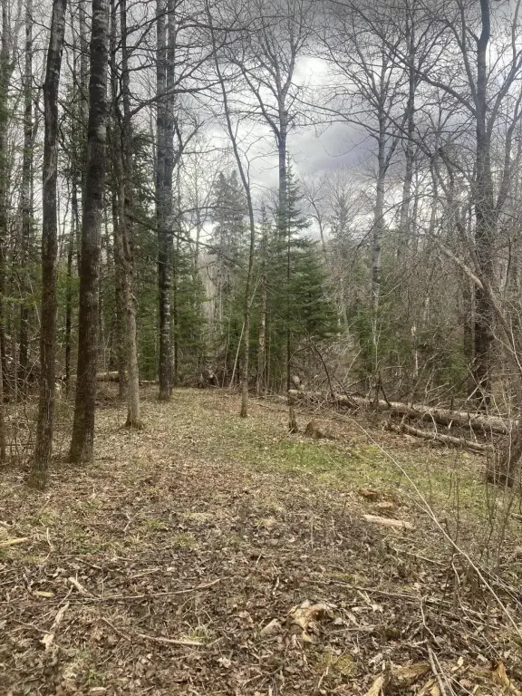 Picture 13