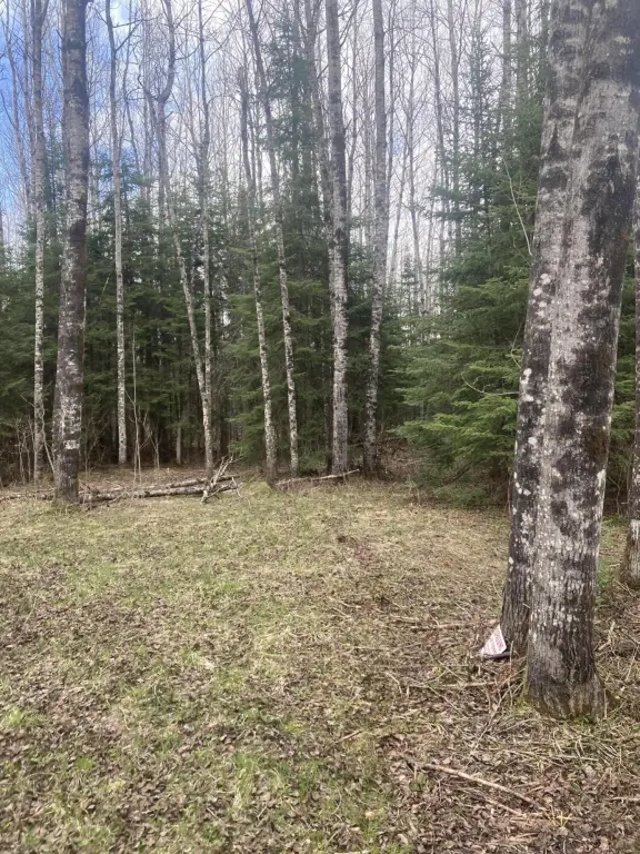 Picture 12