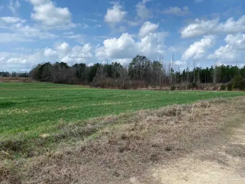 32 Acres of Farmland in Jay