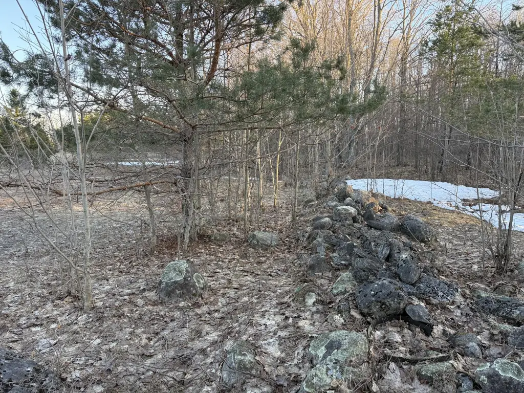 Picture 15